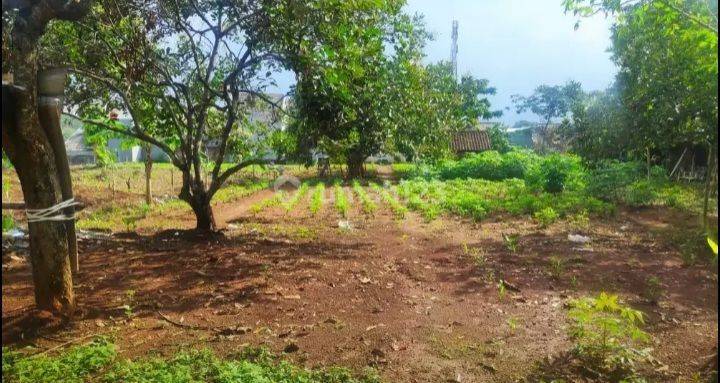 Tanah Tembalang Gondang Dekat Kampus Undip Tembalang  1