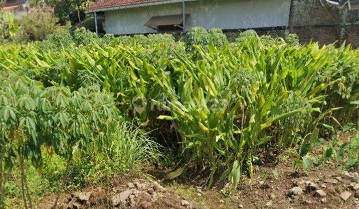 Tanah Tembalang Mulawarman Strategis Dekat Tembalang Undip  1