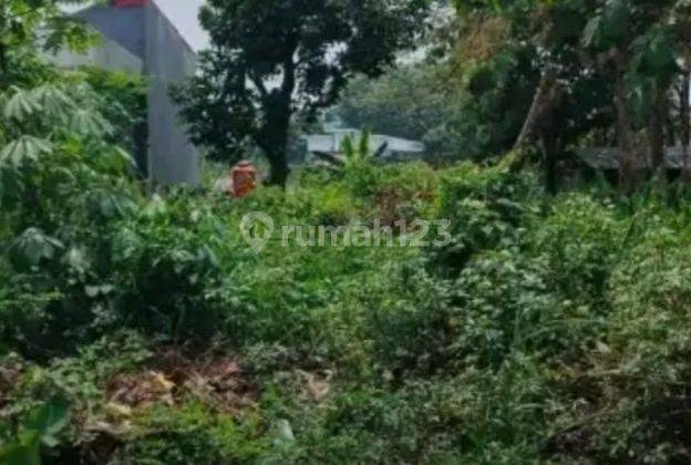 Tanah Tembalang Gondang Dekat Kampus Undip Tembalang  2