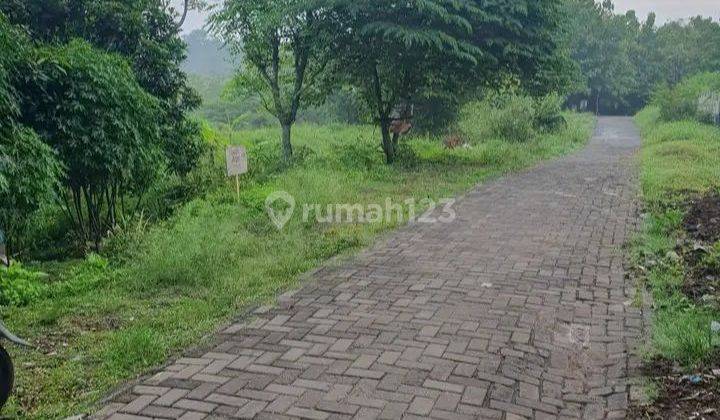 Tanah Tembalang Burangrang Jangli Dekat Undip Tembalang  1