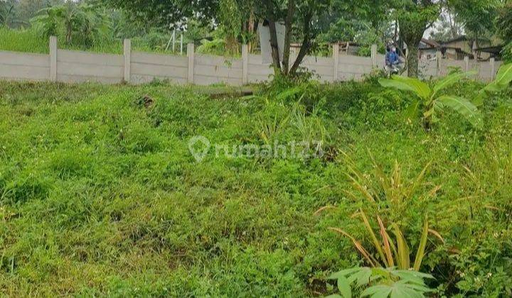 Tanah Tembalang Burangrang Jangli Dekat Undip Tembalang  2