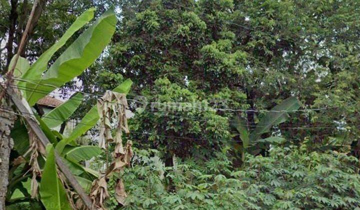 Tanah Jangli Burangrang Dekat Tembalang Undip  1