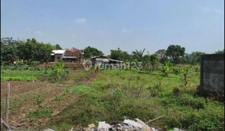 Tanah Tembalang Bulusan Utara Dekat Kampus Undip Tembalang  1