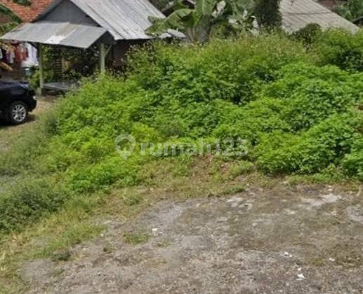 Tanah Jangli Dekat Burangrang Tembalang Undip  2