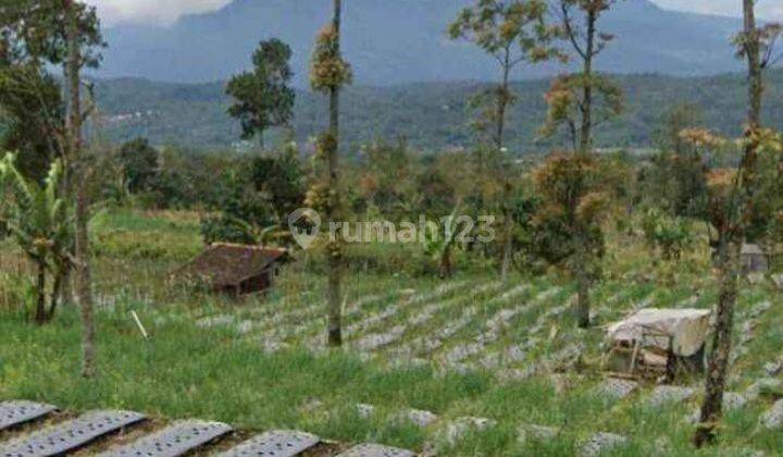 Tanah Bandungan Gedongsongo Dekat Ungaran Ambarawa  1