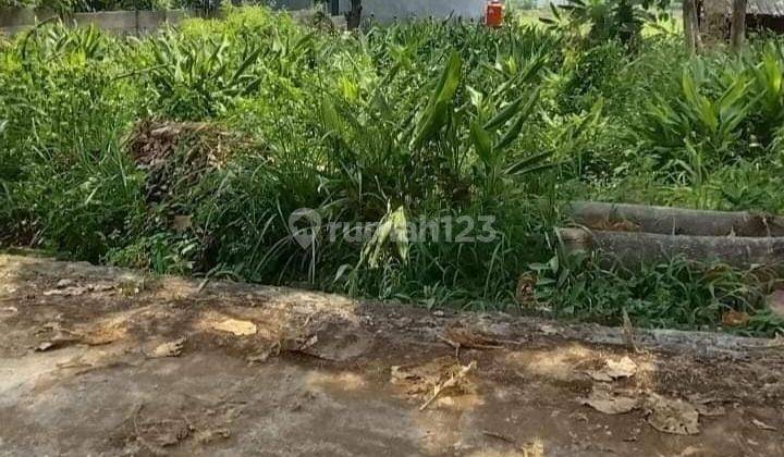 Tanah Tembalang Bulusan Dekat Undip Tembalang  1