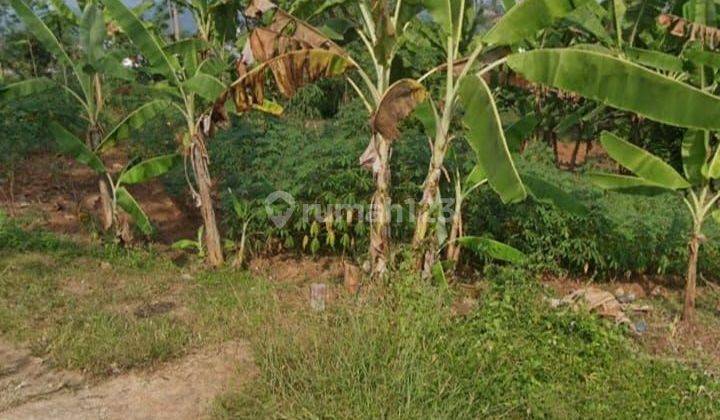 Tanah Tembalang Mulawarman Dekat Undip Tembalang  1