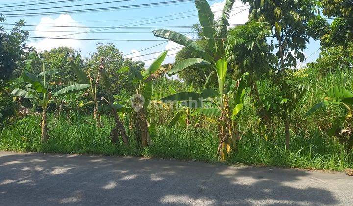 Tanah Tembalang Rowosari Dekat Mateseh Undip 1