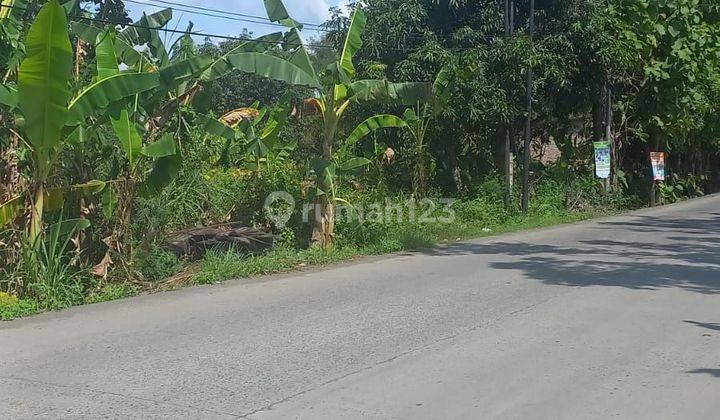 Tanah Tembalang Rowosari Dekat Mateseh Undip 2