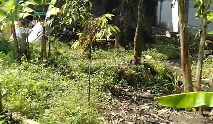 Tanah Tembalang Bulusan Utara Ring 1 Undip 1