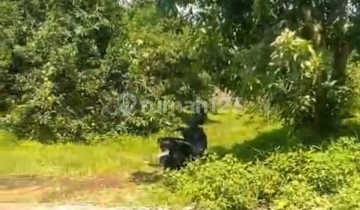 Ngaliyan Land Suitable for Housing Near Bsb Boja 1