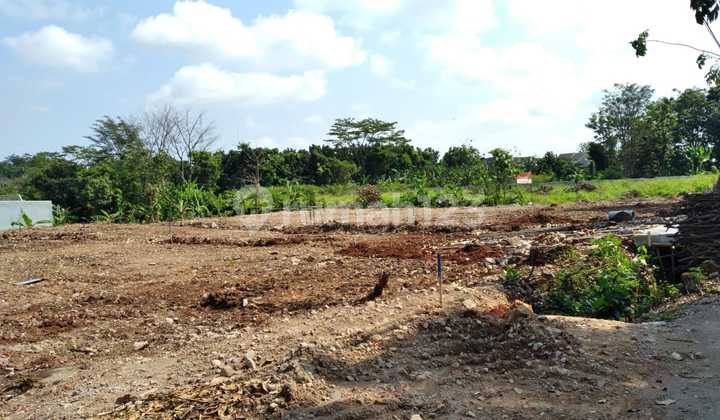 Tanah Tembalang Mulawarman Dekat Kampus Undip Tembalang 1