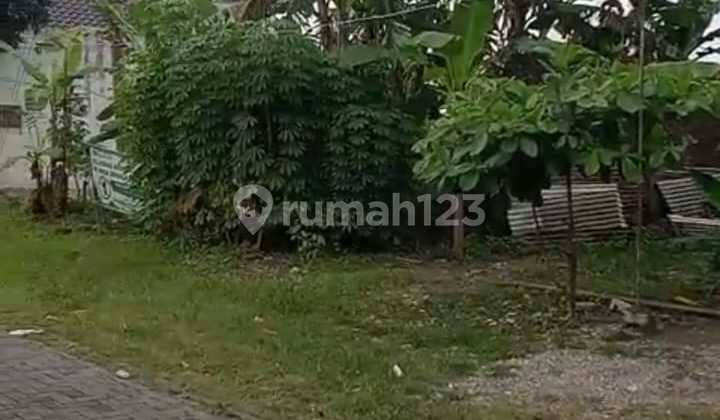 Tanah Sinar Waluyo Tembalang Dekat Kedungmundu Cocok Perumahan 1