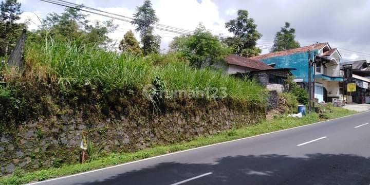 Tanah Kopeng Salatiga Sumogawe View Merbabu 2