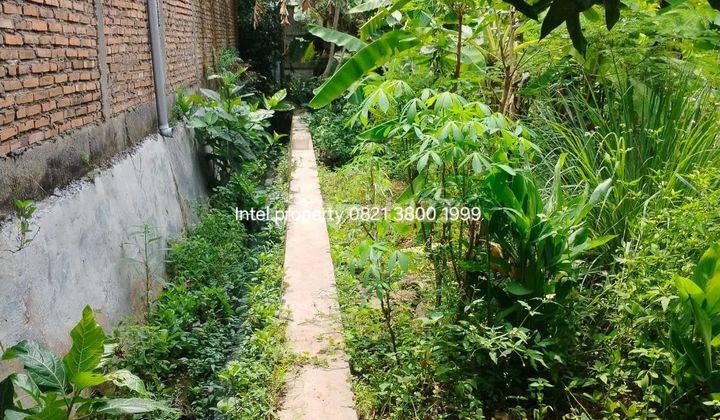 Tanah Tembalang Bulusan Dekat Undip Tembalang  2