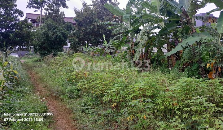 Tanah Tembalang Bulusan Dekat Undip Tembalang 2
