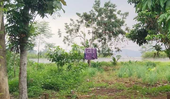 Tanah Tembalang Mulawarman Dekat Kampus Undip Tembalang 2