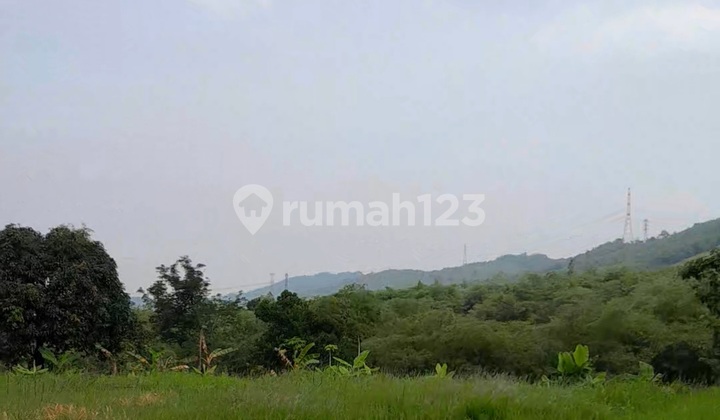 Tanah Rowosari Tembalang Lingkungan Perumahan Dekat Undip 1