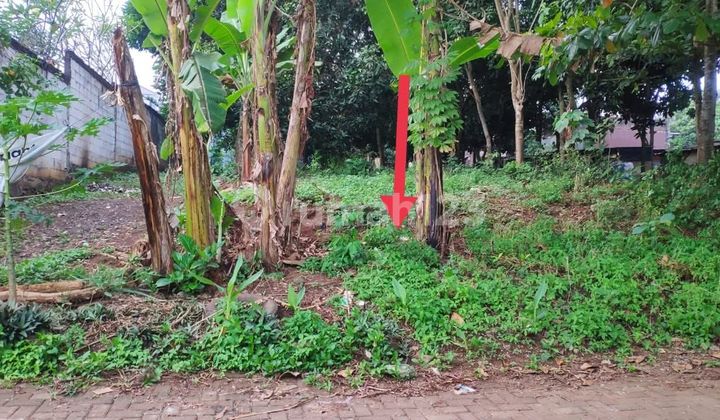 Tanah Tembalang Bulusan Utara Ring 1 Kampus Undip Tanah Tembalang Bulusan Utara Ring 1 Kampus Undip