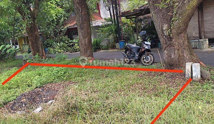 Tanah Tembalang Sekip Dekat Kampus Undip Tembalang  1