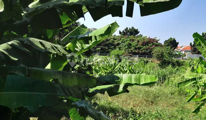 Tanah Tembalang Sumurboto Dekat Kampus Undip Tembalang 1