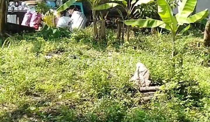 Tanah Tembalang Bulusan Utara Ring 1 Undip 2