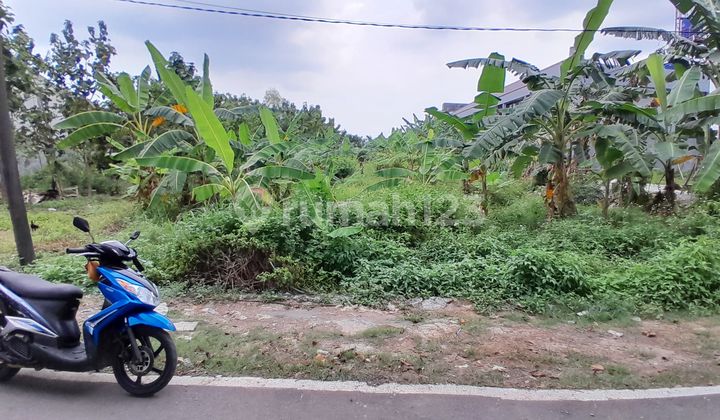 Tanah Tembalang Ring 1 Dekat Kampus Undip Tembalang 2