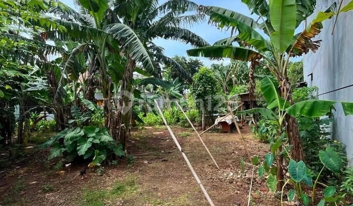 Tanah Tembalang Bulusan Dekat Undip Tembalang 2