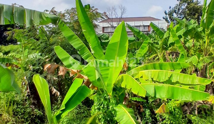 Land in Tembalang Bulusan, near Undip Tembalang 1