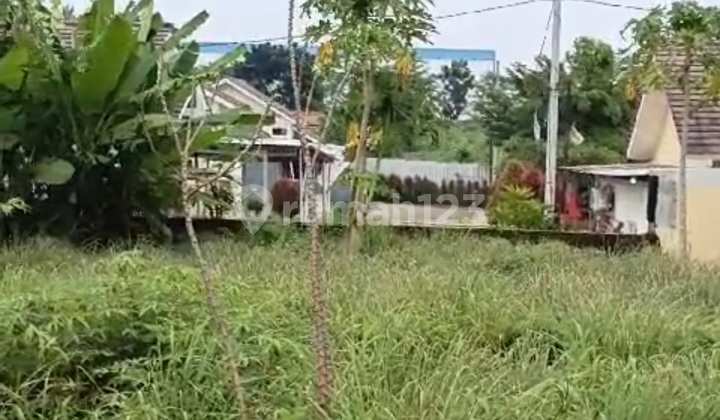 Tanah Kedung Pane Mijen Dekat Bsb Ngaliyan 1