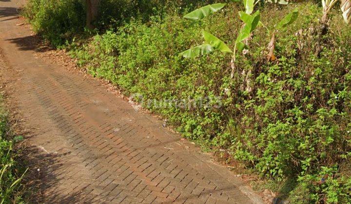 Tanah Tembalang Bulusan Selatan Dekat Tembalang Undip  2