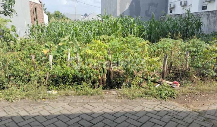 Tanah Tembalang Bulusan Dekat Undip Tembalang 1