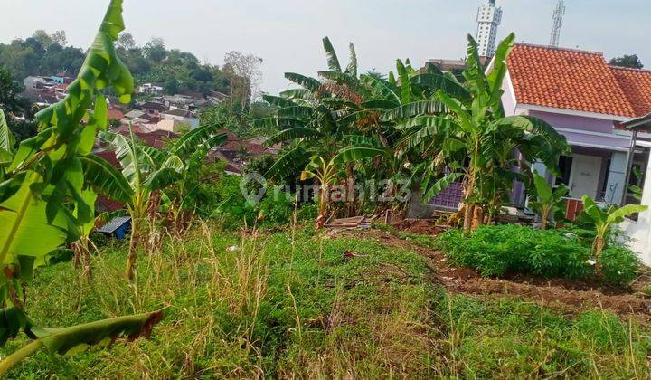 Tanah Ngaliyan Purwoyoso Di Silandak Dekat Bsb 2