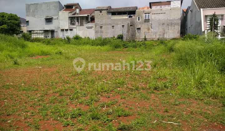 Tanah Jangli Cocok Perumahan Dekat Undip Tembalang 1