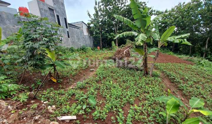 Tanah Murah Tembalang Bulusan Selatan Dekat Kampus Undip Tembalang 2