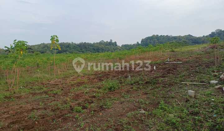 Tanah Tembalang Mangunharjo Sendangmulyo Dekat Undip Tembalang 2