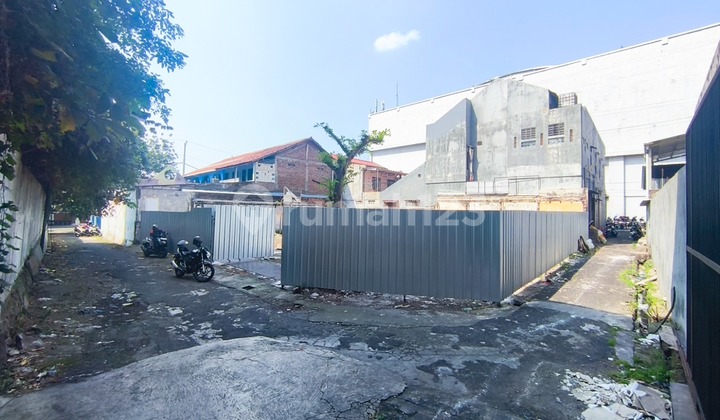 Mango Land Behind Java Cocok Strategic Business 1