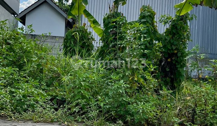 Tembalang Bulusan Land Near Undip Tembalang Campus 1