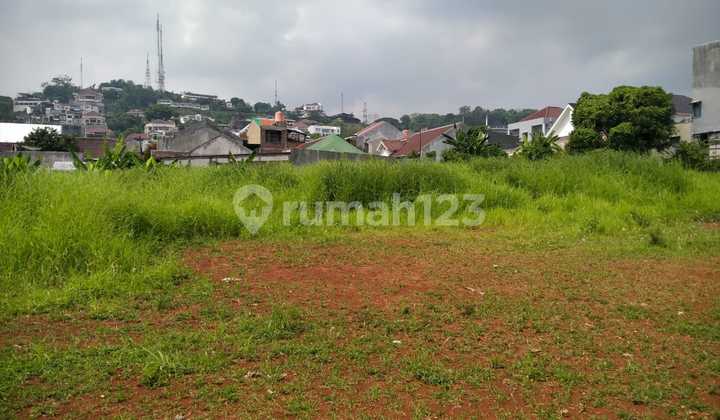 Wild Land Near Undip Tembalang Campus 2