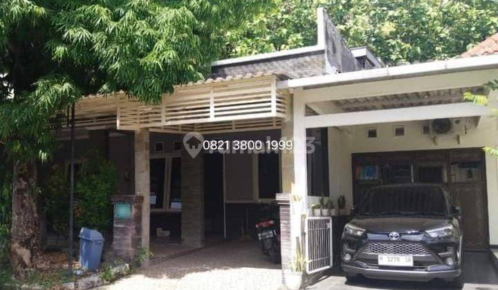 Rumah Kontrakan Graha Estetika Tembalang Undip  1