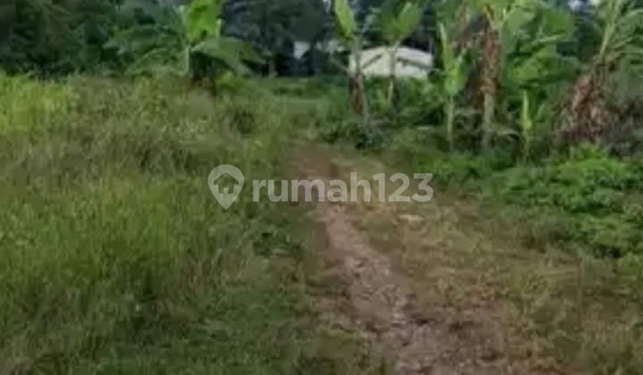 Tanah Tembalang Bulusan Utara Ring 1 Undip 1