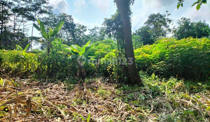 Tanah Tembalang Gondang Dekat Undip Tembalang  1