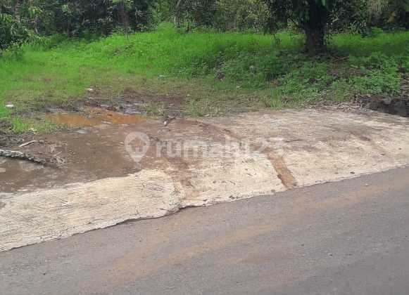 Ngaliyan Podorejo Land for Housing Near BSB 2