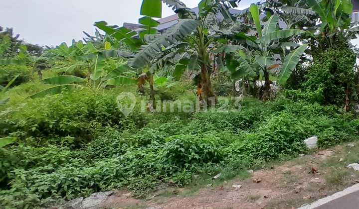Tanah Tembalang Bulusan Utara Dekat Undip Tembalang 2