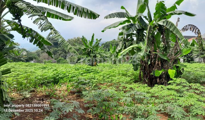 Mulawarman South Main Land Tembalang Near Undip Tembalang 2