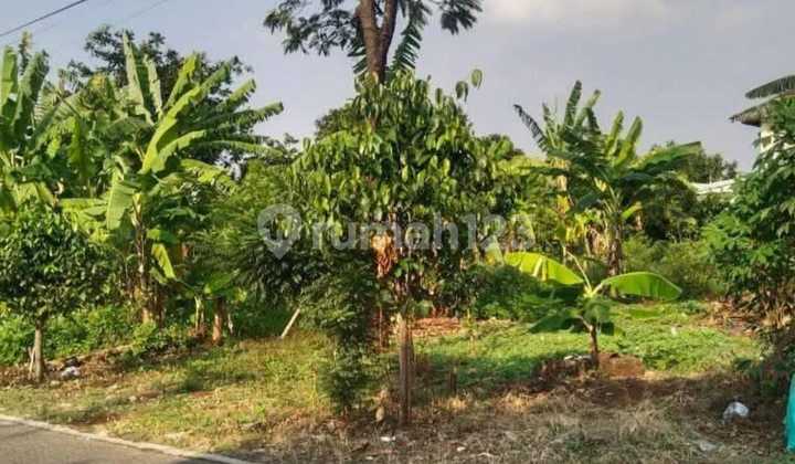 Tanah Tembalang Mulawarman Dekat Kampus Undip Tembalang 2