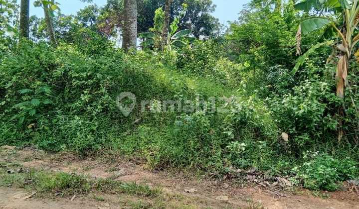 Tanah Tembalang Mulawarman Dekat Undip Tembalang 1