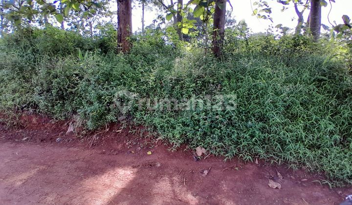 Tanah Tembalang Mulawarman Selatan Dekat Undip Tembalang 1