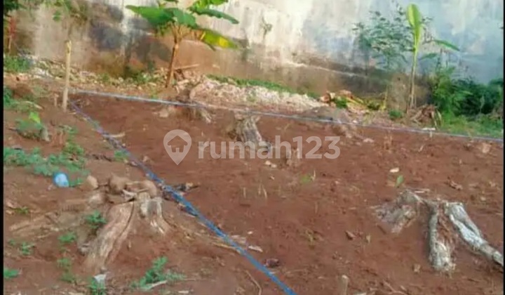 Tanah Tembalang Bulusan Dekat Undip Tembalang 2