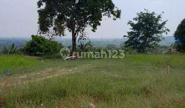 Tanah Rowosari Tembalang Mateseh Dekat Undip Tembalang 1